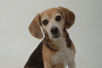 �A�h���C�g ���A�\�t�g �ň��l