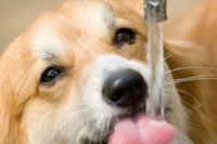 �A�h���C�g ���A�\�t�g �u���O