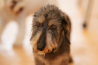 �A�h���C�g ���A�\�t�g �H����