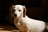 �A�h���C�g ���A�\�t�g �щ�